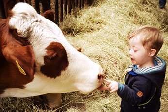 Seeleitenhof Galerie 5