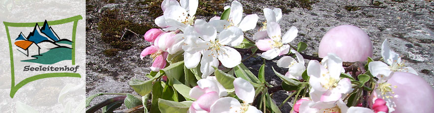 Header Seeleitenhof